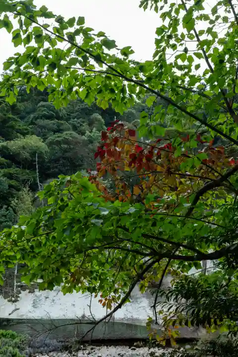 御山神社(厳島神社奧宮)(広島県)