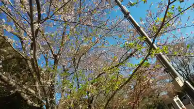 近江神宮のその他建物