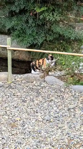 菊田神社の動物