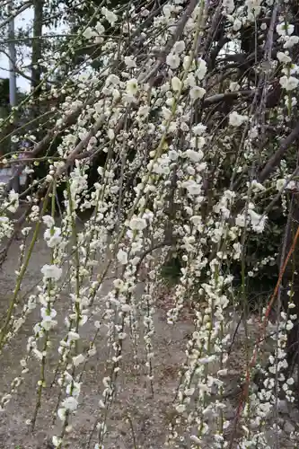 大御堂寺（野間大坊）(愛知県)