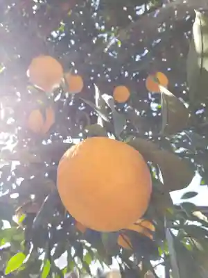 本郷氷川神社(東京都)