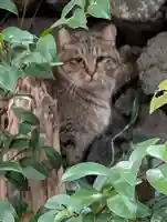 浜殿神社(長崎県)