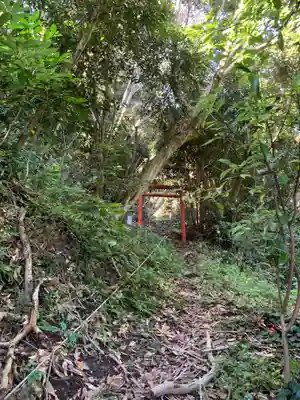 金毘羅大権現(千葉県)