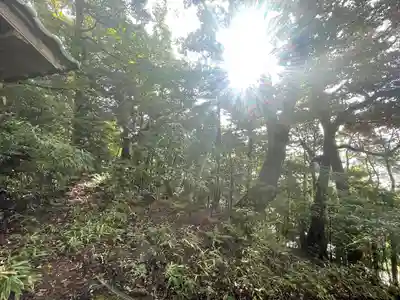 山王宮日吉神社の周辺