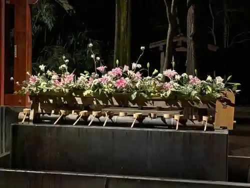 武蔵一宮氷川神社(埼玉県)