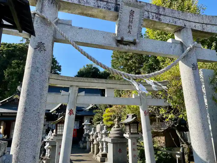 白蛇辨財天の鳥居