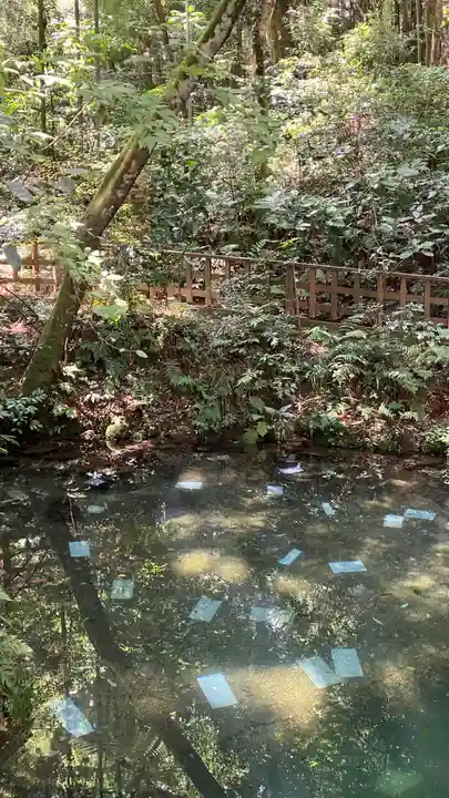 八重垣神社のおみくじ