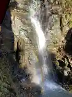 大正寺(中野不動尊)の周辺