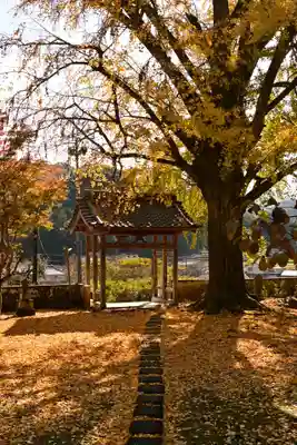 禅蔵寺(愛媛県)