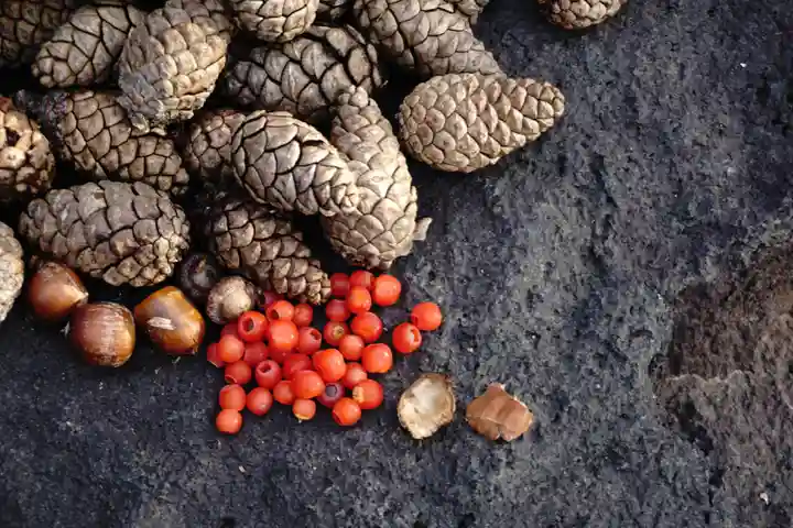 成田山大照寺(北海道)