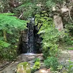 猿投神社の自然