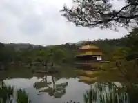 鹿苑寺(金閣寺)の景色