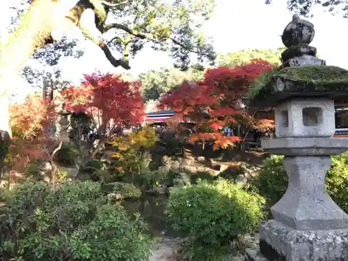 太宰府天満宮(福岡県)