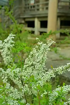 白山媛神社(新潟県)