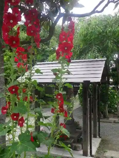 千手院の手水舎