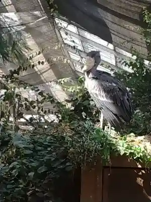 一宮神社(兵庫県)