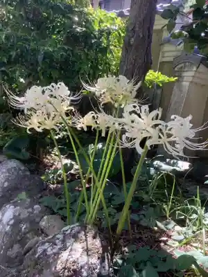 實相山　正法院(静岡県)