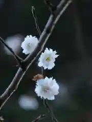 普門寺(切り絵御朱印発祥の寺)(愛知県)