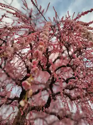 伊勢神宮内宮（皇大神宮）(三重県)