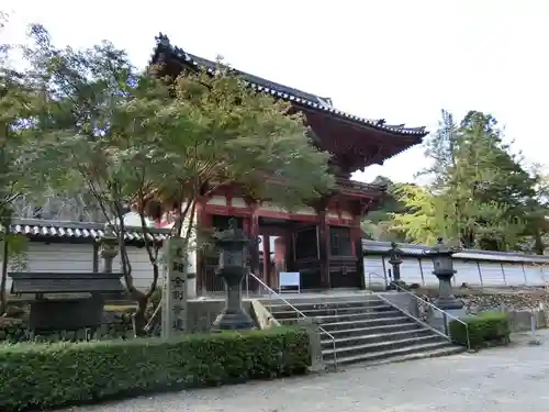 金剛寺の山門