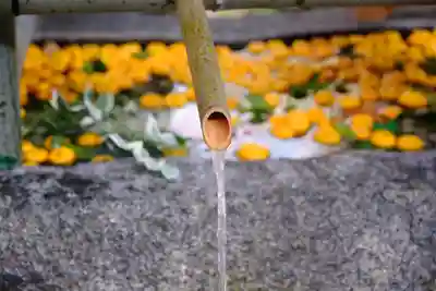 賀茂別雷神社（上賀茂神社）(京都府)