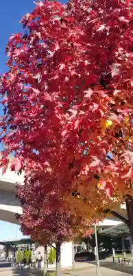 富足神社の自然