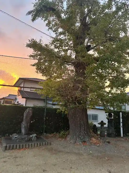 大魚神社(佐賀県)