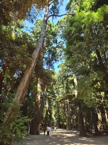 鹿島神宮(茨城県)