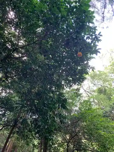 伊勢神宮内宮（皇大神宮）(三重県)