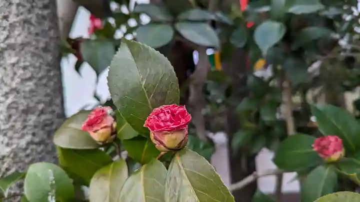 雨宝院(京都府)