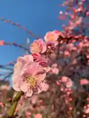 屯倉神社(大阪府)