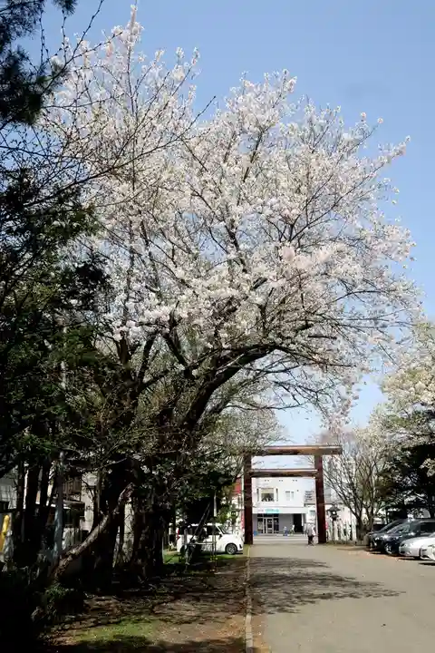 豊平神社(北海道)