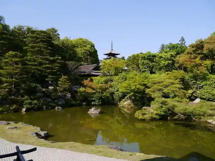 仁和寺の庭園