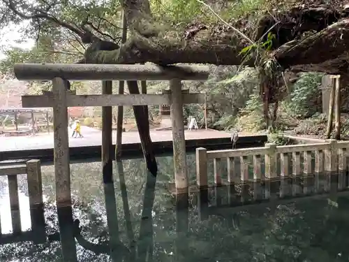 鹿島神宮(茨城県)