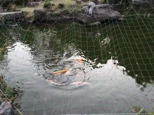 都農神社(宮崎県)