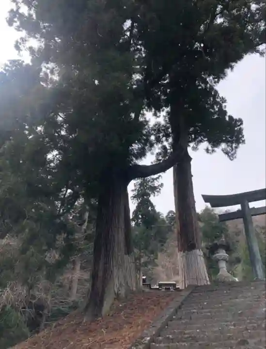 妙義神社(群馬県)