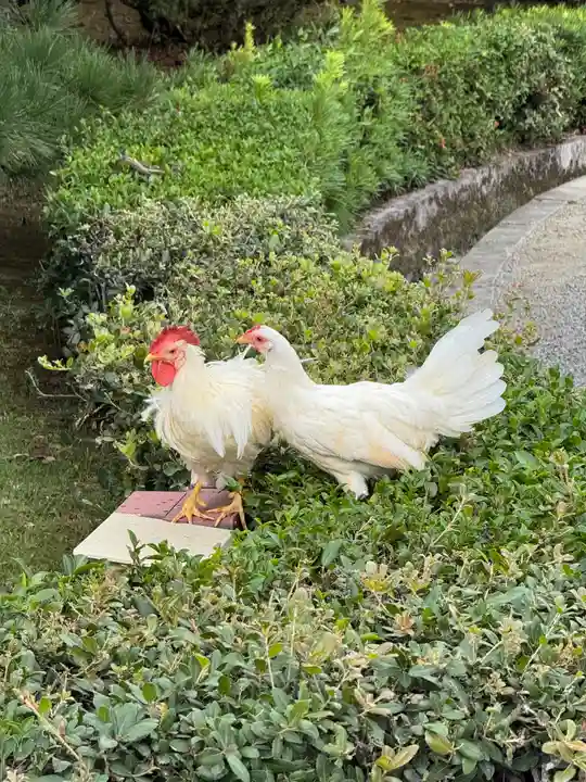 伊勢神宮内宮(皇大神宮)(三重県)