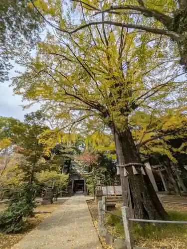赤坂氷川神社(東京都)