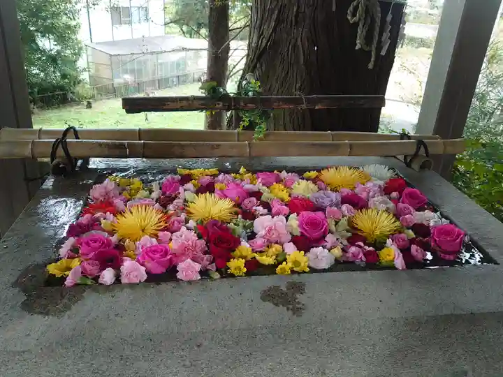 糀谷八幡宮(埼玉県)