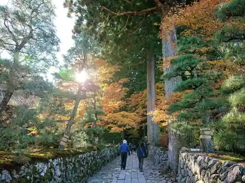 宝積山光前寺の自然