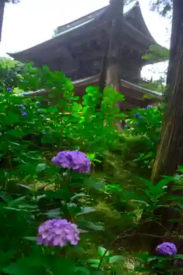 円覚寺(神奈川県)
