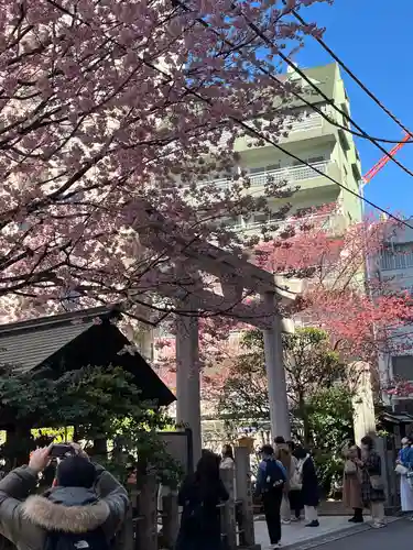 蔵前神社(東京都)