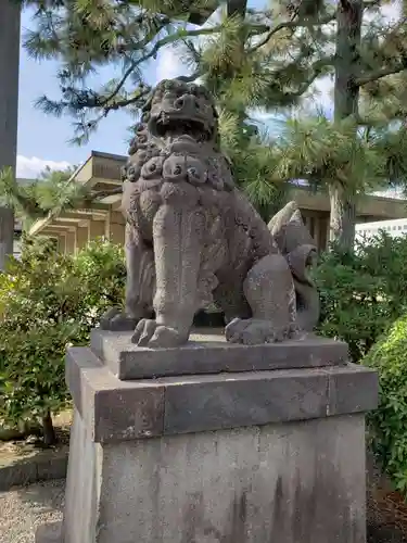 福井神社の狛犬