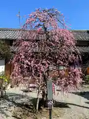 源九郎稲荷神社の自然