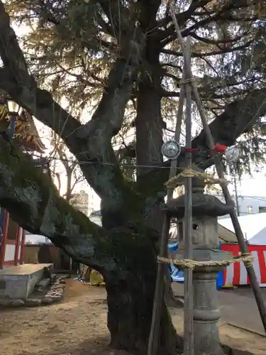 新井薬師（梅照院）のその他建物