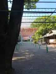 宮崎縣護國神社(宮崎県)