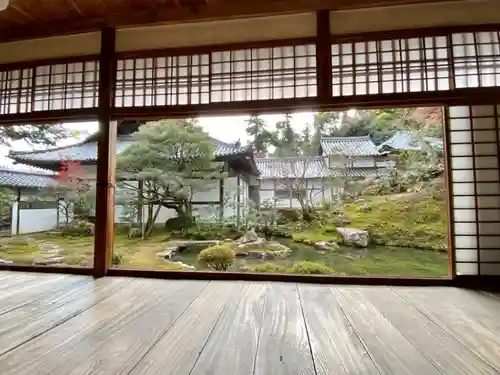 浄住寺の庭園