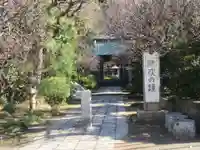 常立寺の初詣