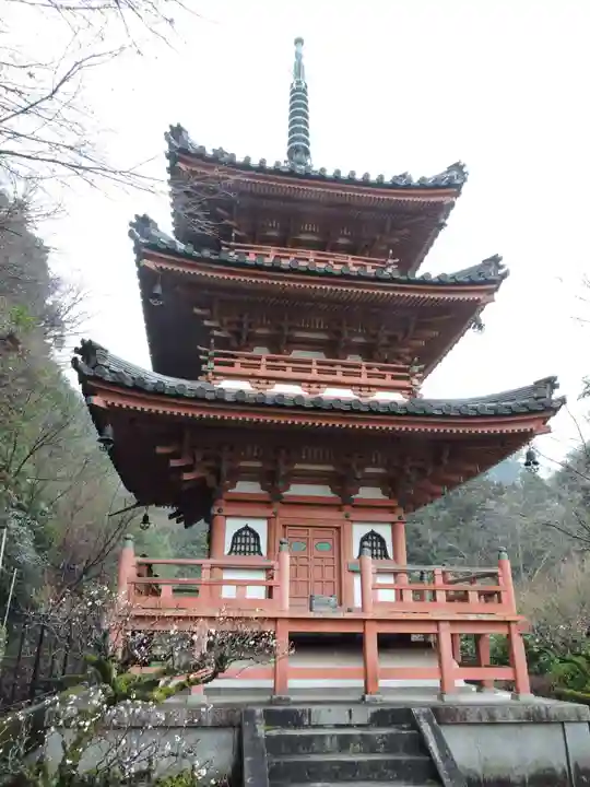 三室戸寺(京都府)