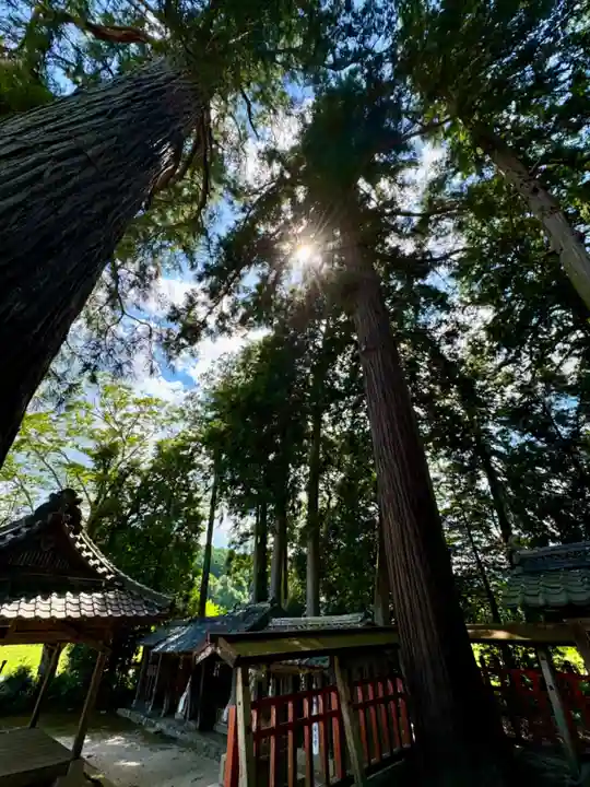 佐々尾神社(京都府)